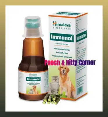 Himalaya Immunol Liquid for Dogs and Cats (100mL) - w/ FREE 3mL Syringe
