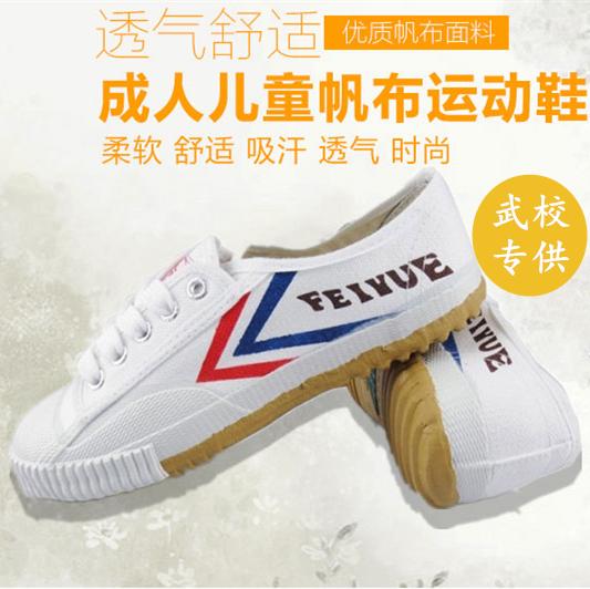 kung fu shoes lazada