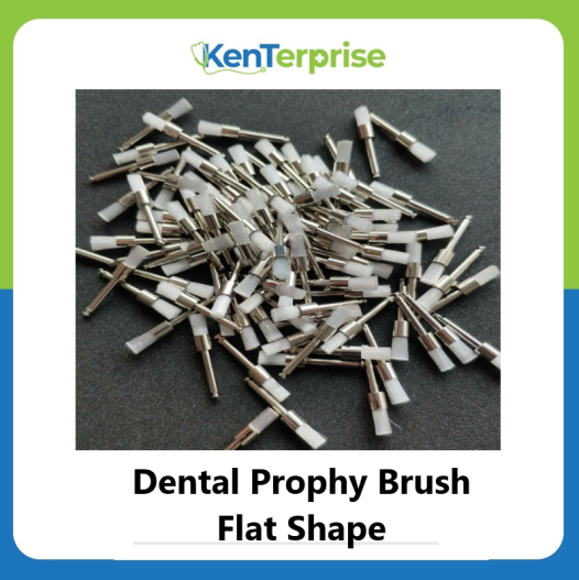 Dental Prophy Brush Flat Shape (Sold pr. Piece) Lazada PH