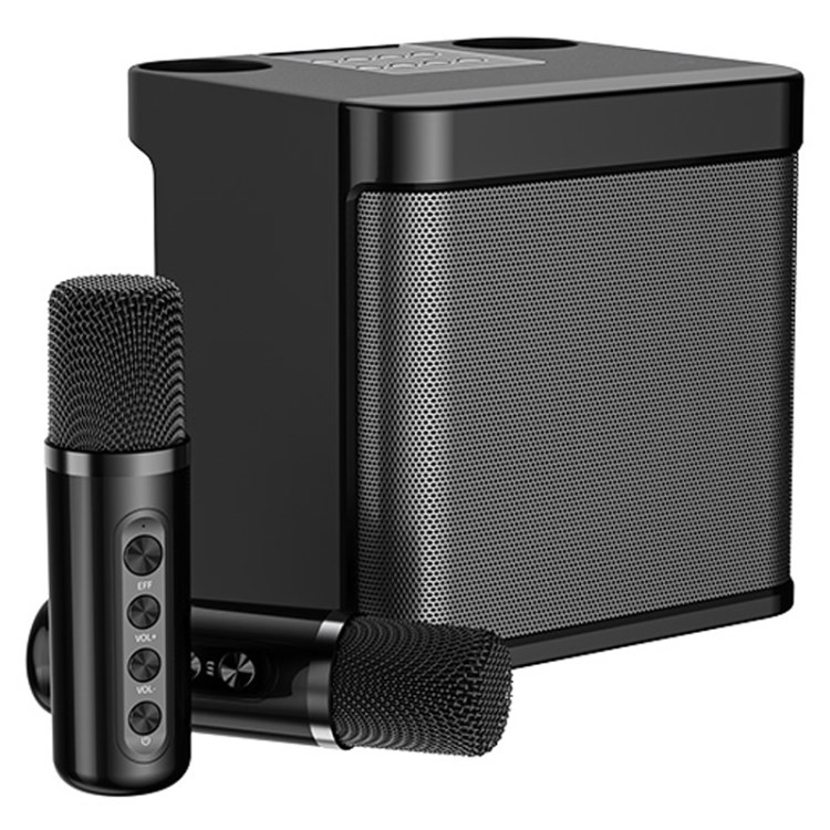 Wireless Bluetooth Dual Microphone Karaoke Speaker 3D Stereo Amplifier ...
