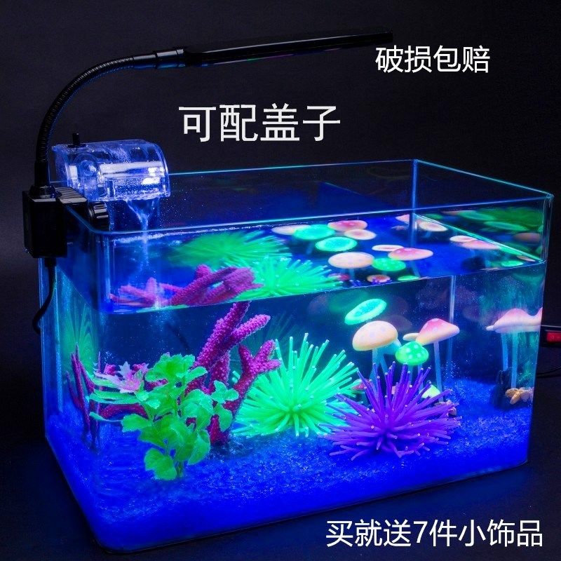 square fish tank small