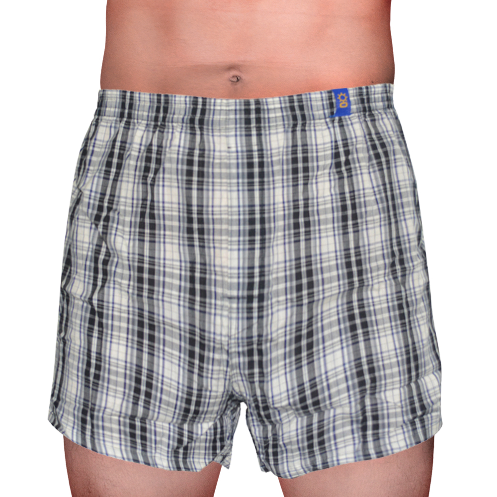 Sunjoy Checkered Boxer Shorts | Lazada PH