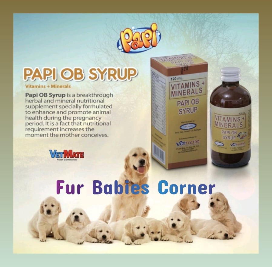 PAPI OB Syrup For Pregnant And Lactating Pets. Pre And PostNatal Supplement For Pregnant Cats