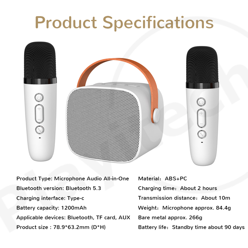 Wireless Bluetooth Portable Audio With Microphone Microphone K Song