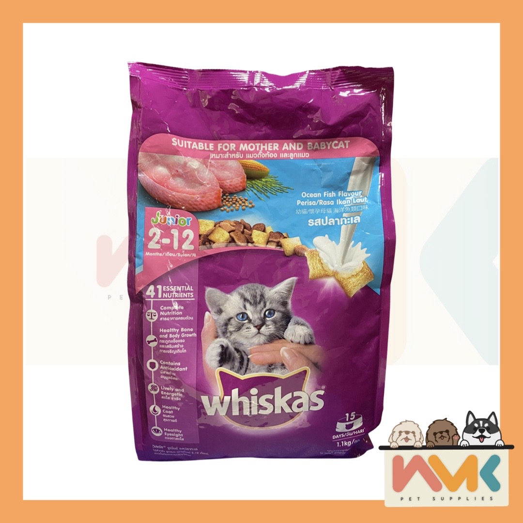 Whiskas Junior Ocean Fish Flavor w/Milk Dry Cat Food (1.1kg) Lazada PH