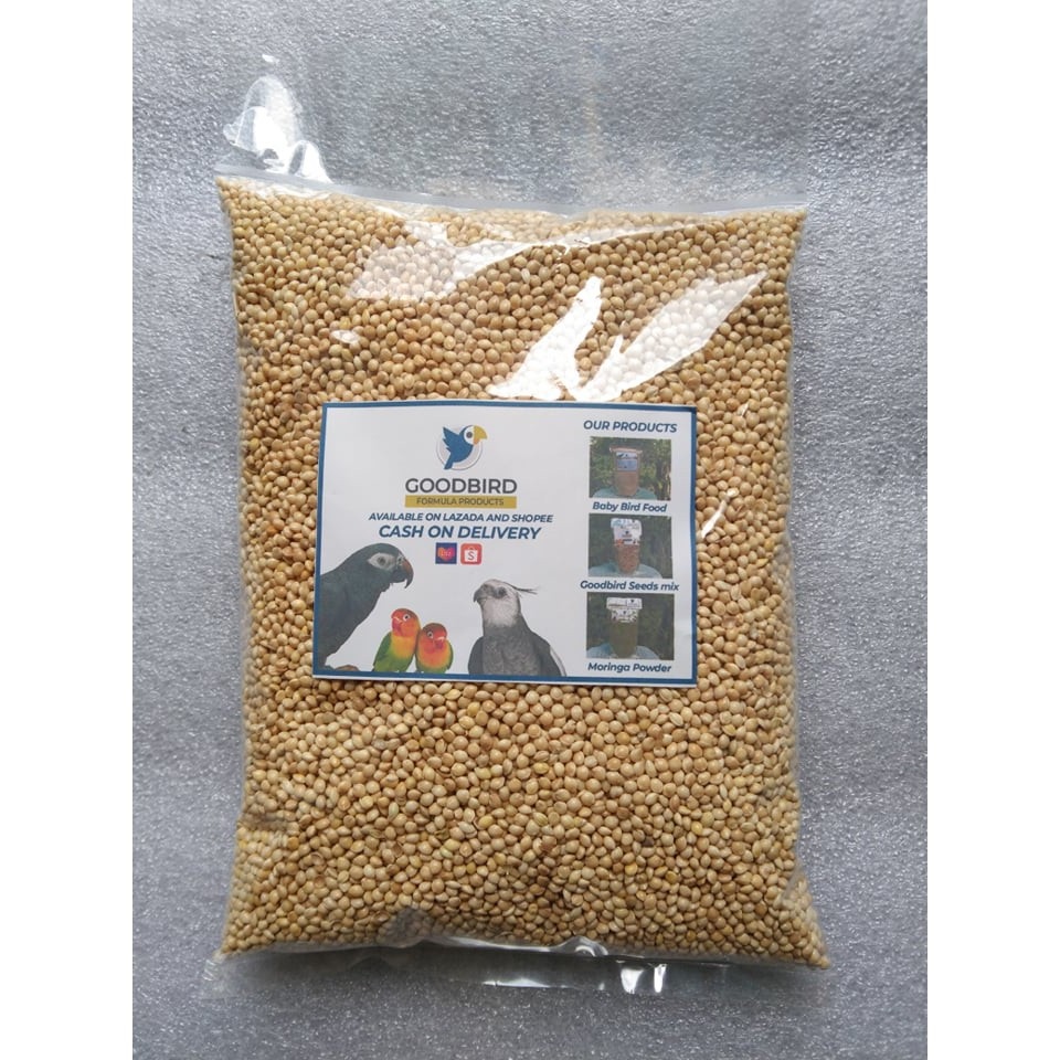 White Millet Seeds For Budgies African Love Birds Canary Cockatiels and