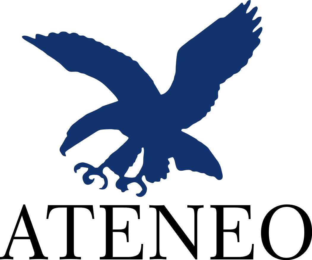 Ateneo Blue Eagle car sticker Lazada PH