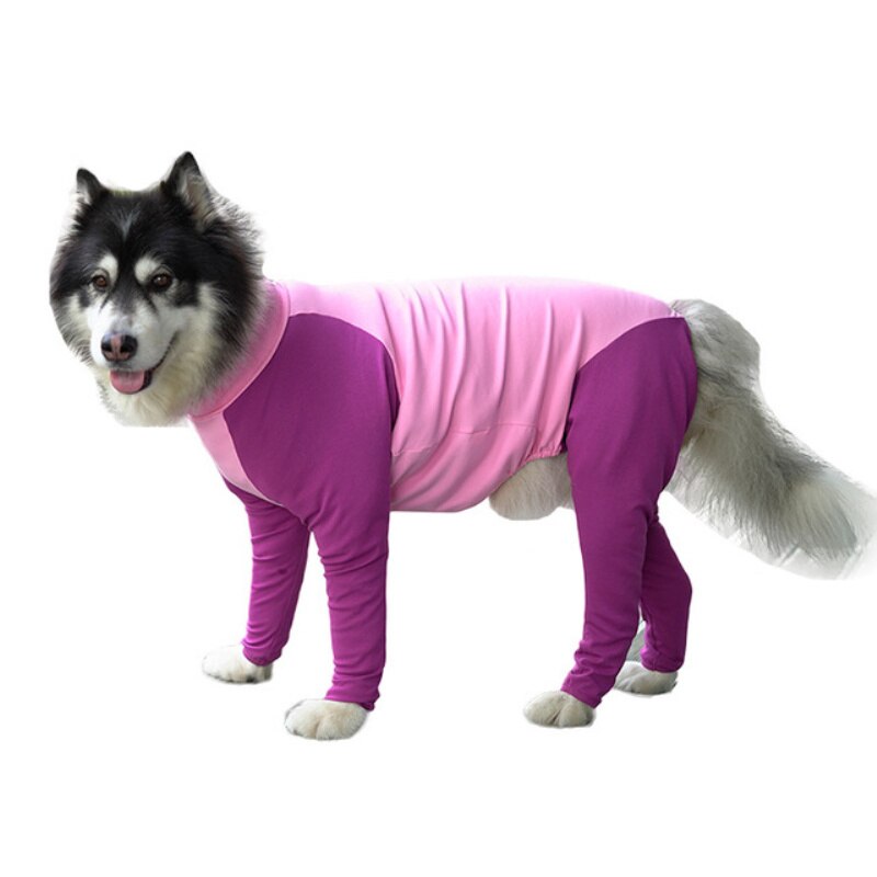 Big Dog Clothing Jumpsuit Pajama Big Dog Outfit Border Collie Samoyed