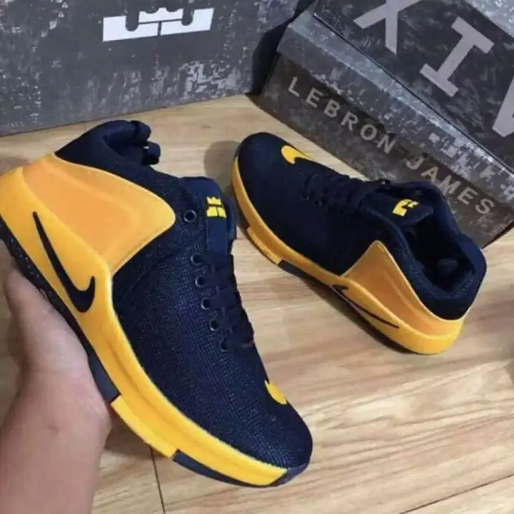 lebron james blue and yellow shoes