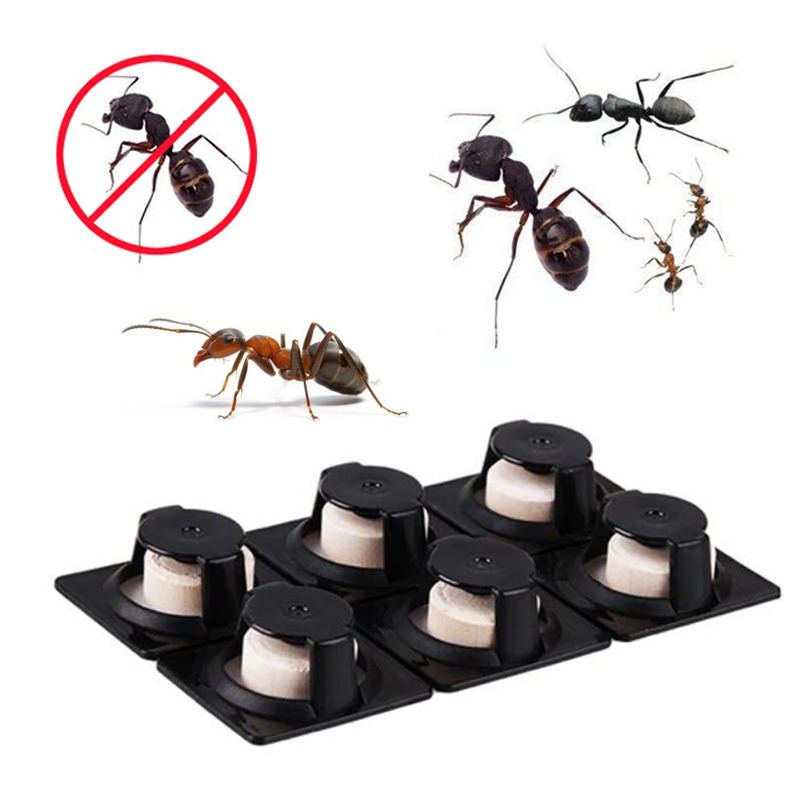 6Pcs/Lot Ant Agent Ant Killing Powder Bait Ants Repellent Repeller Trap
