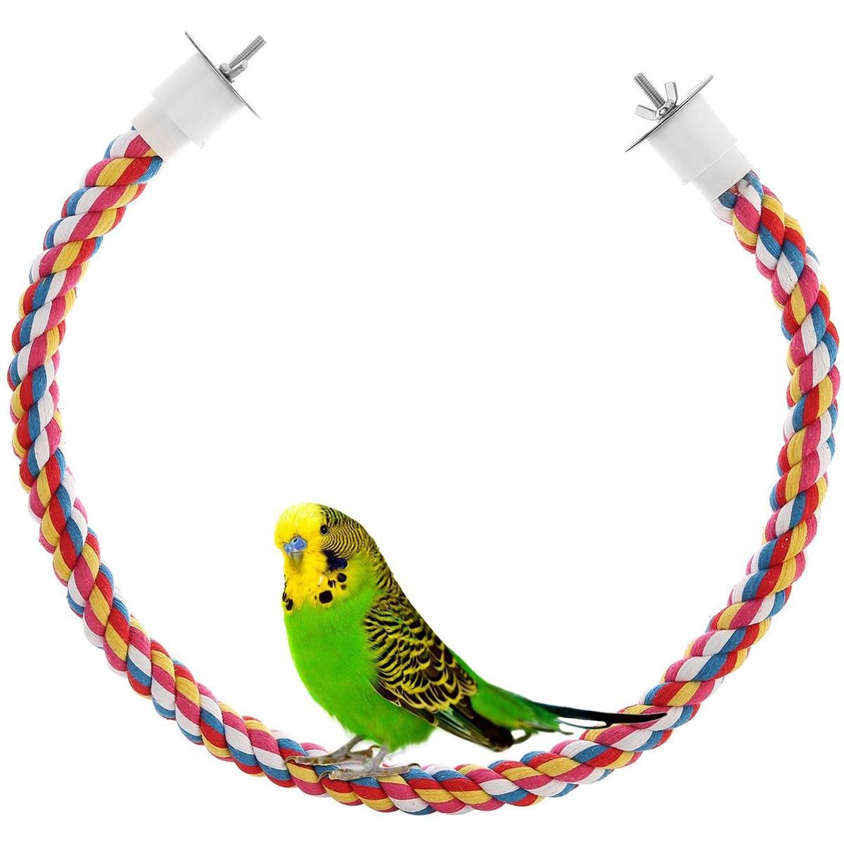 rope perches for parrots