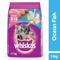 best dry kibble for cats