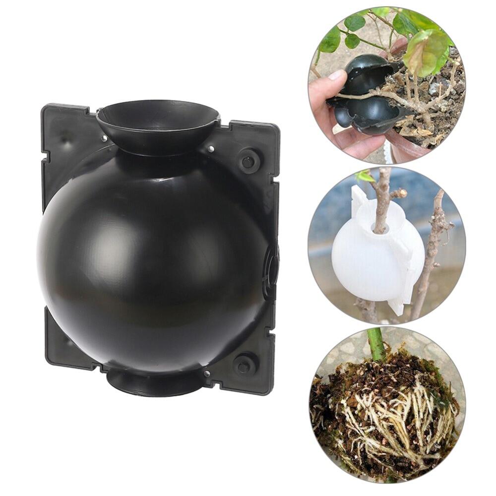10/20/30pcs 5cm Black Fruit Plant Tree Rooting Ball Root Box Plastic Case Transparent Flower