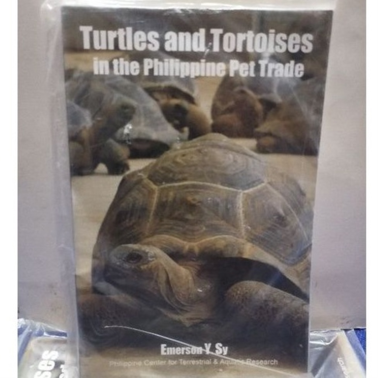 [Hot sales]℗ TURTLES AND TORTOISES IN THE PHILIPPINES PET TRADE Lazada PH