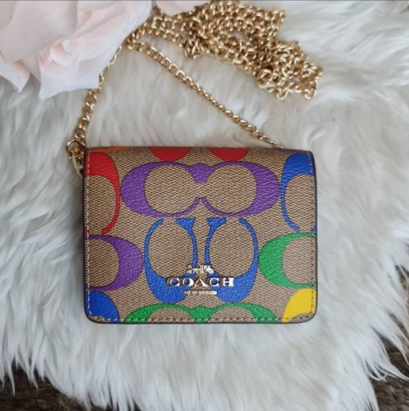 Coach C4696 Mini Wallet on A Chain in Rainbow Signature Canvas Lazada PH