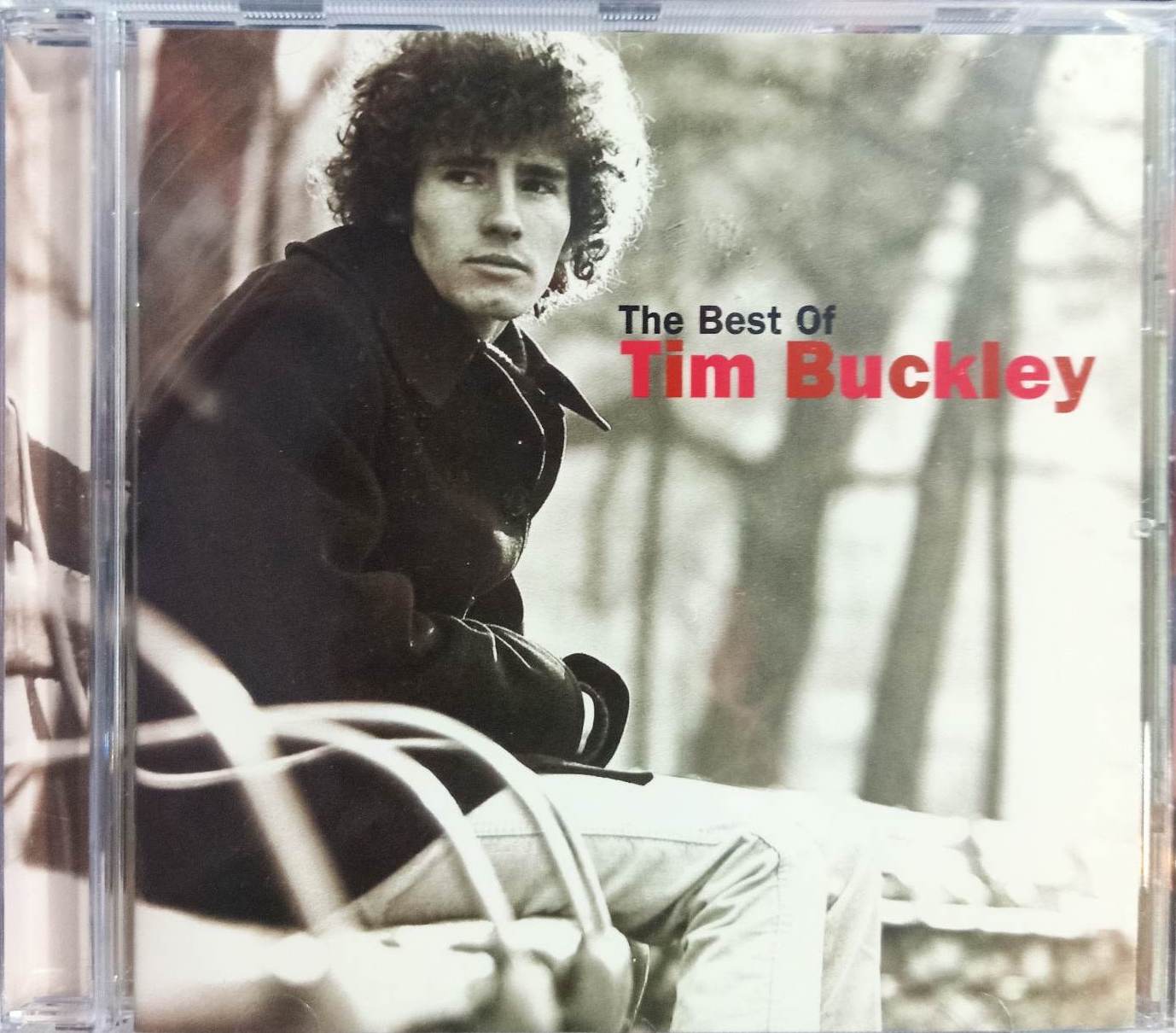 Tim Buckley – The Best Of Tim Buckley (CD, Compilation) | Lazada PH