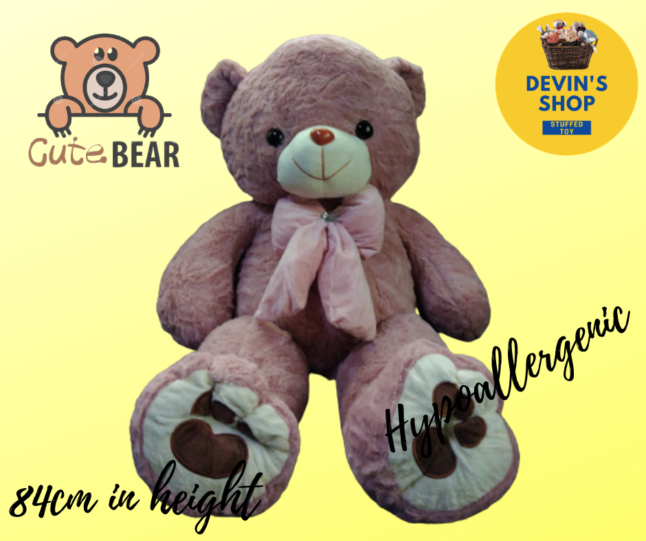 medium sized teddy bear