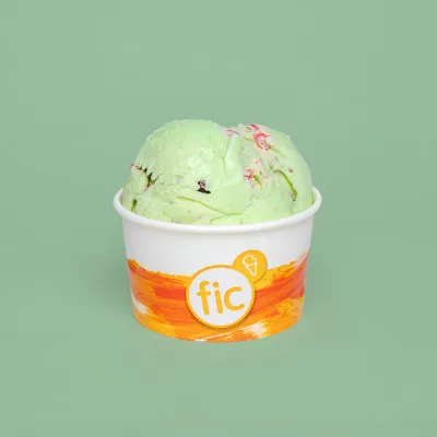 FIC Choco Mint Premium Ice Cream 460ml