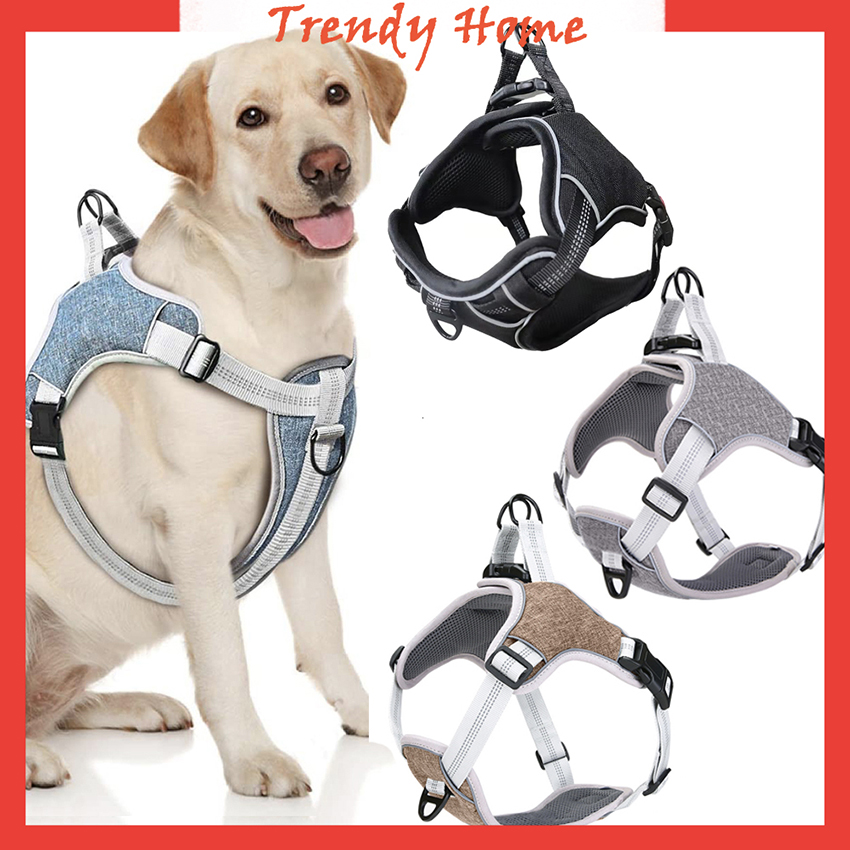 holuck dog harness