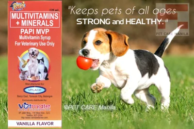 PAPI MVP Syrup Multivitamins + Minerals for Pets 120ml