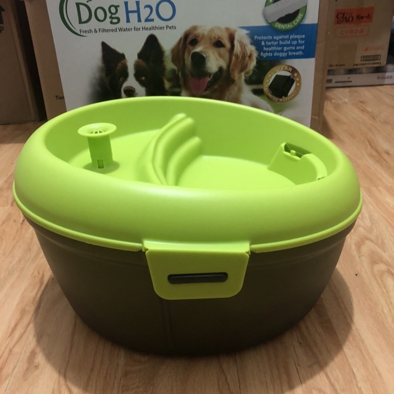 Dog H2O Drinking Fountain 6L Lazada PH