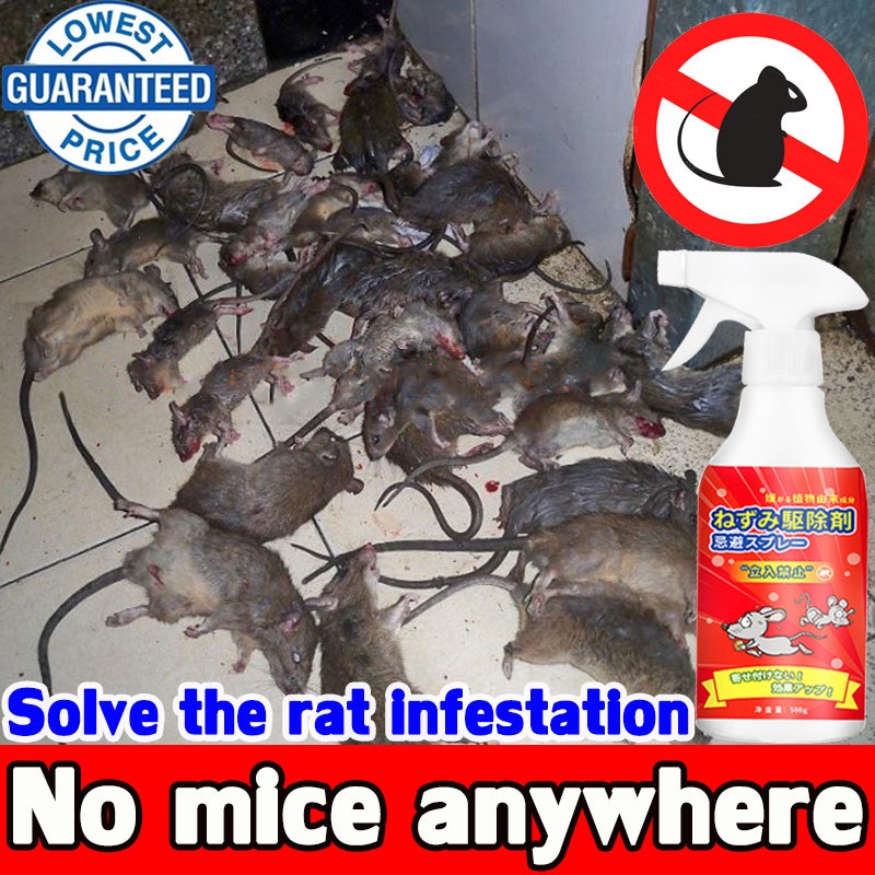 Mouse smells and runs Rat Repellent Spray Anti Rat Spray Can repel mice