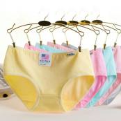 pastel colored candy cotton panty 6 pcs bundle