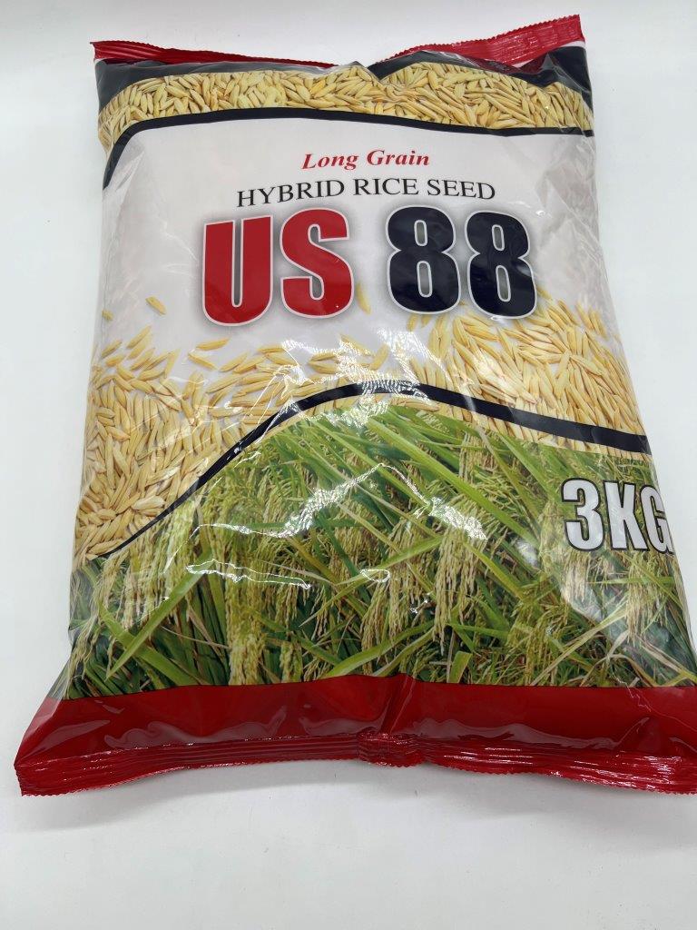 us-88-hybrid-rice-seeds-3-kilograms-pack-by-seedworks-lazada-ph