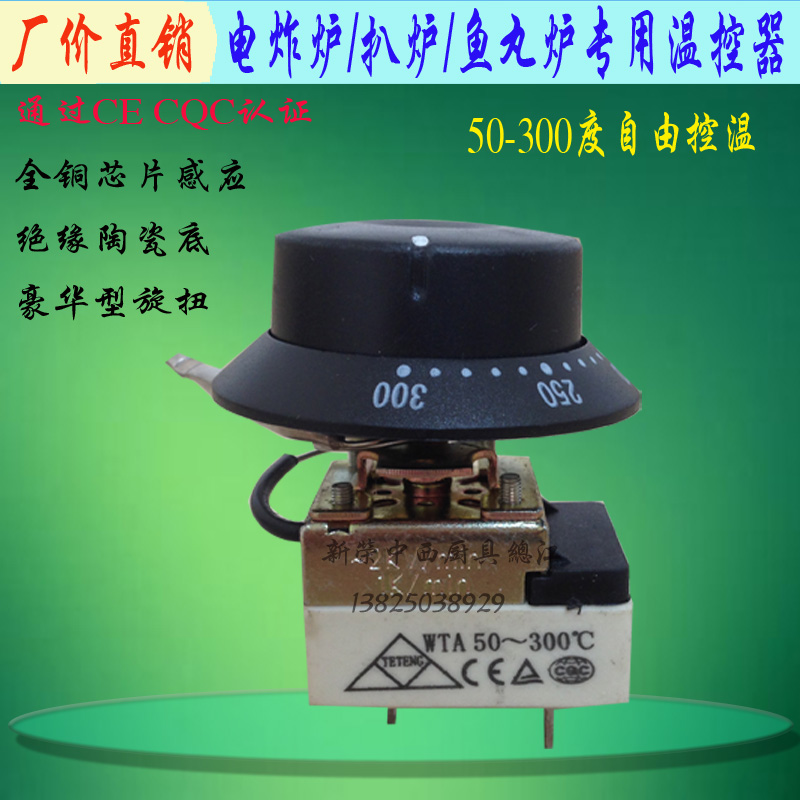 300Temperature Controller Electric roasterFish ball stove Electric