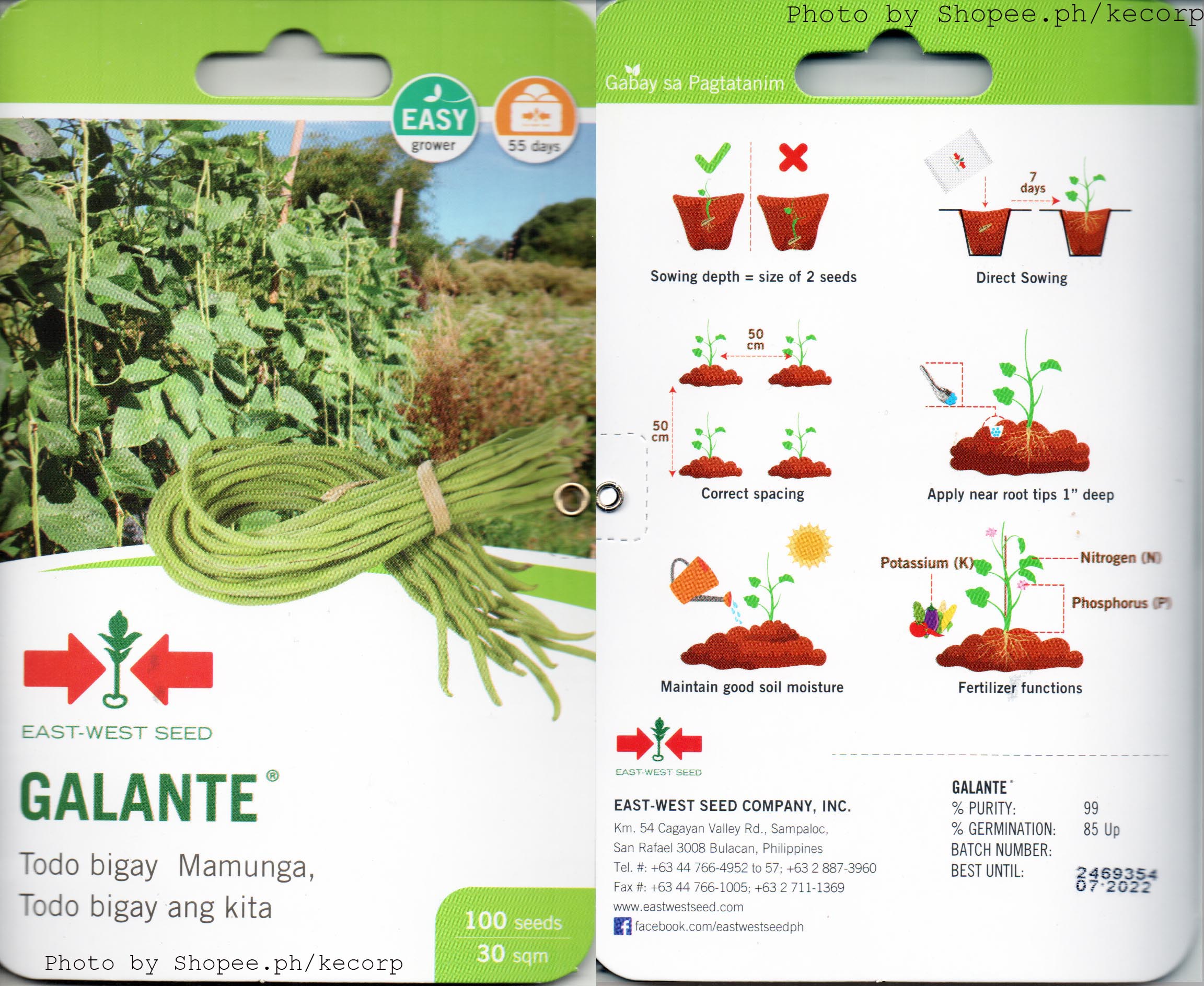 Eastwest Vegetable F1 Galante Sitao String Beans Approx 100 Seeds ...