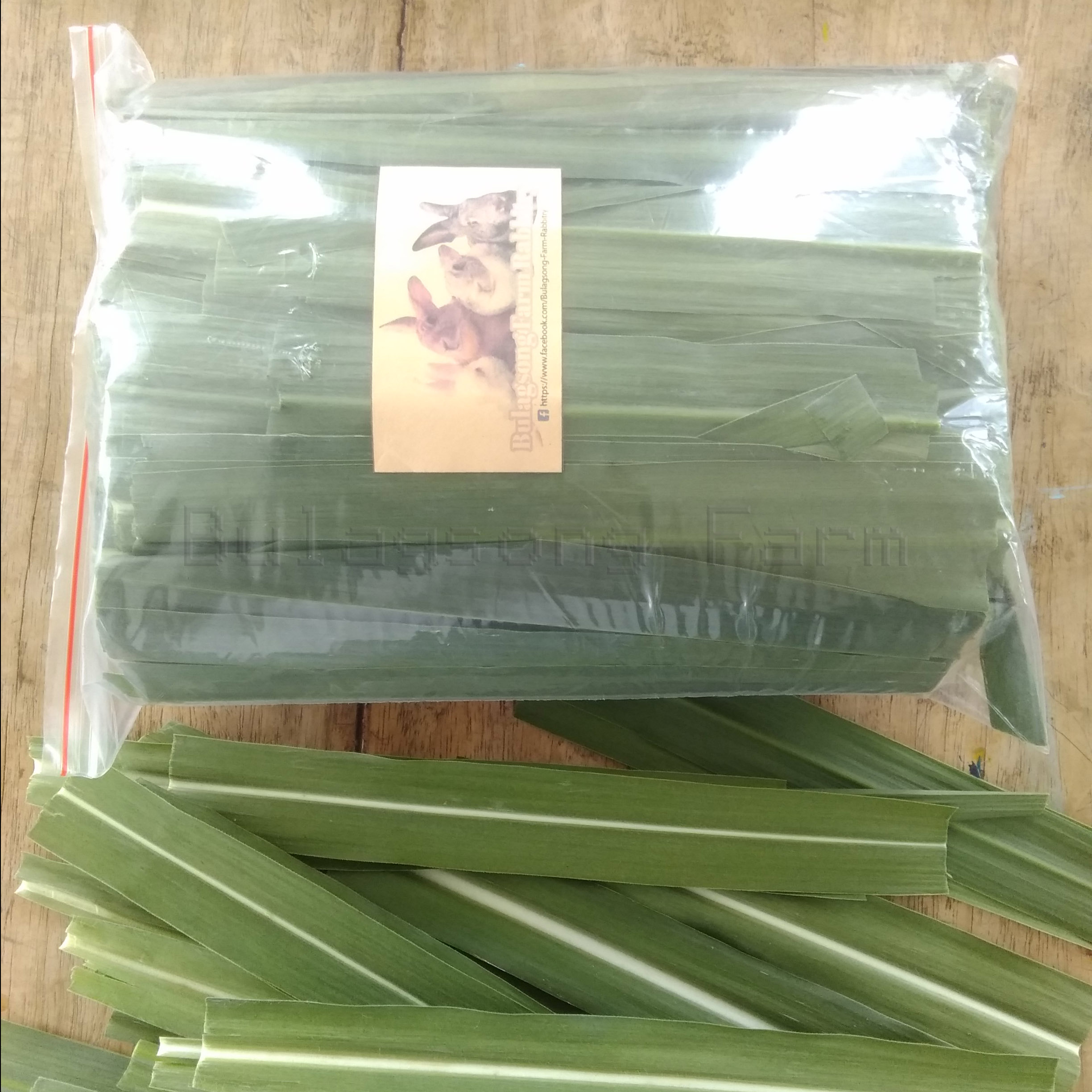 Fresh Napier Grass Green or Red Leaves (Best food grass for your cows