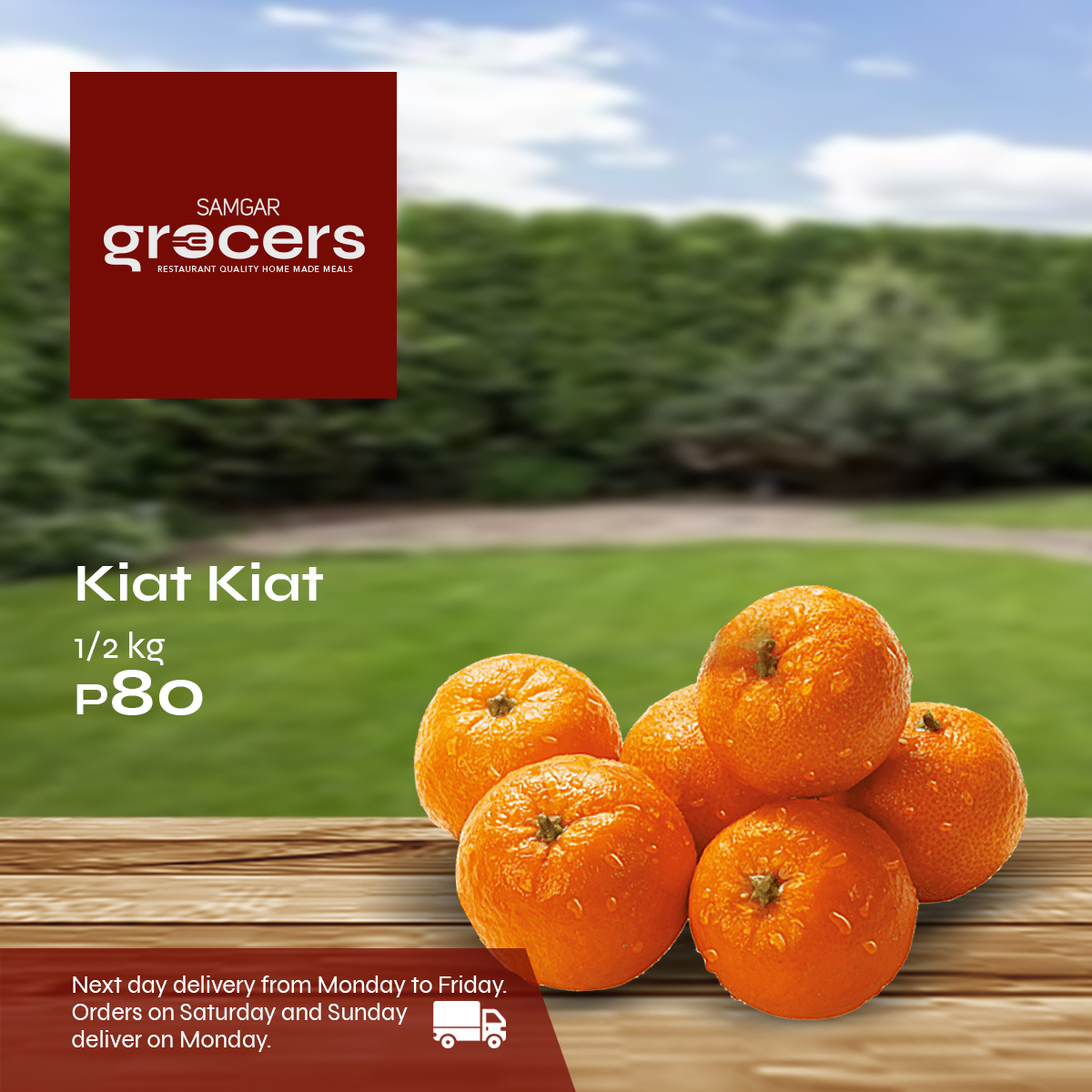 SAMGAR Grocers Fresh Mandarin KiatKiat Fruit 500g per pack Next Day