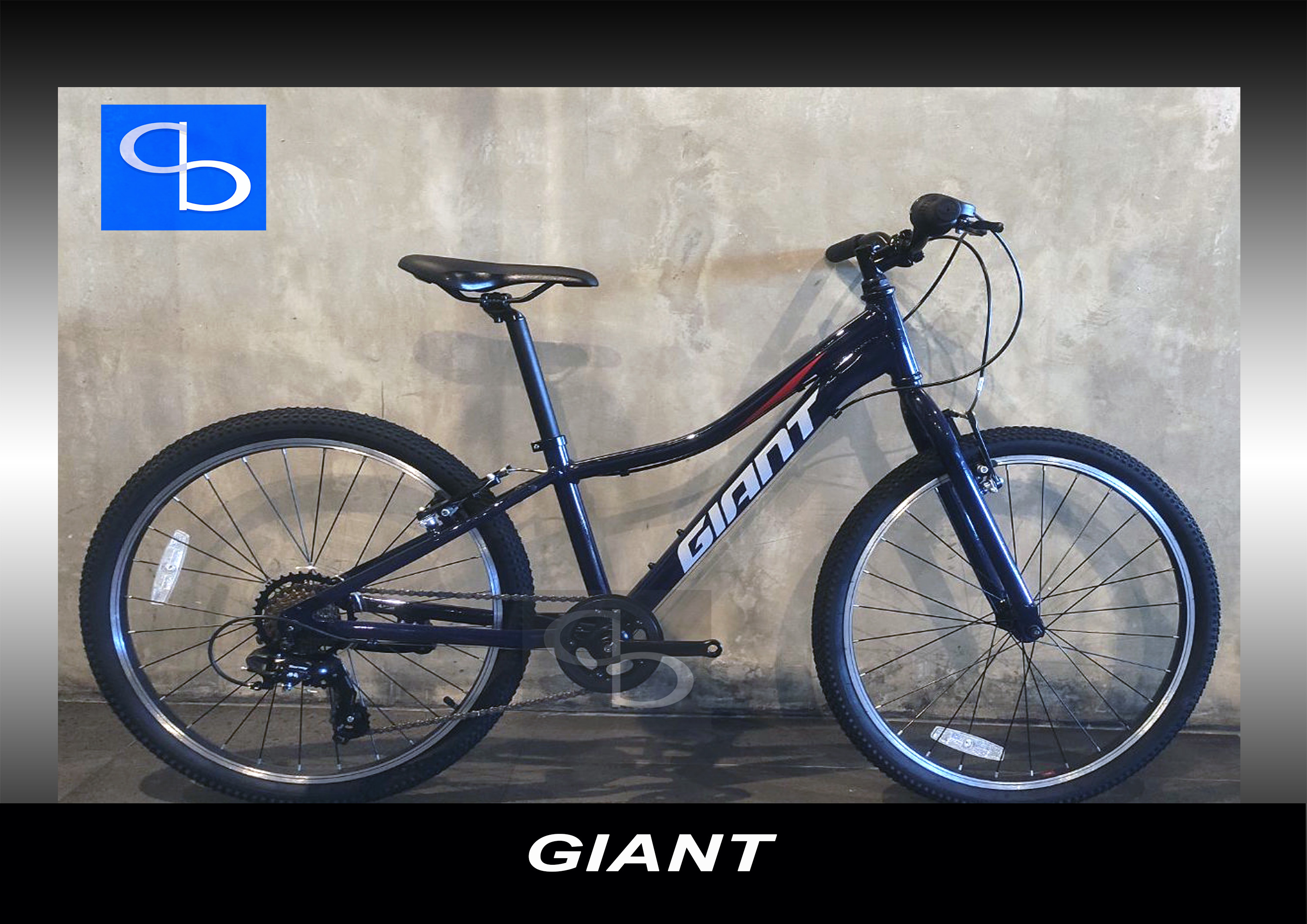 GIANT Authentic XTC Jr 24 Mountain Bike Aluminium Frame Mountain