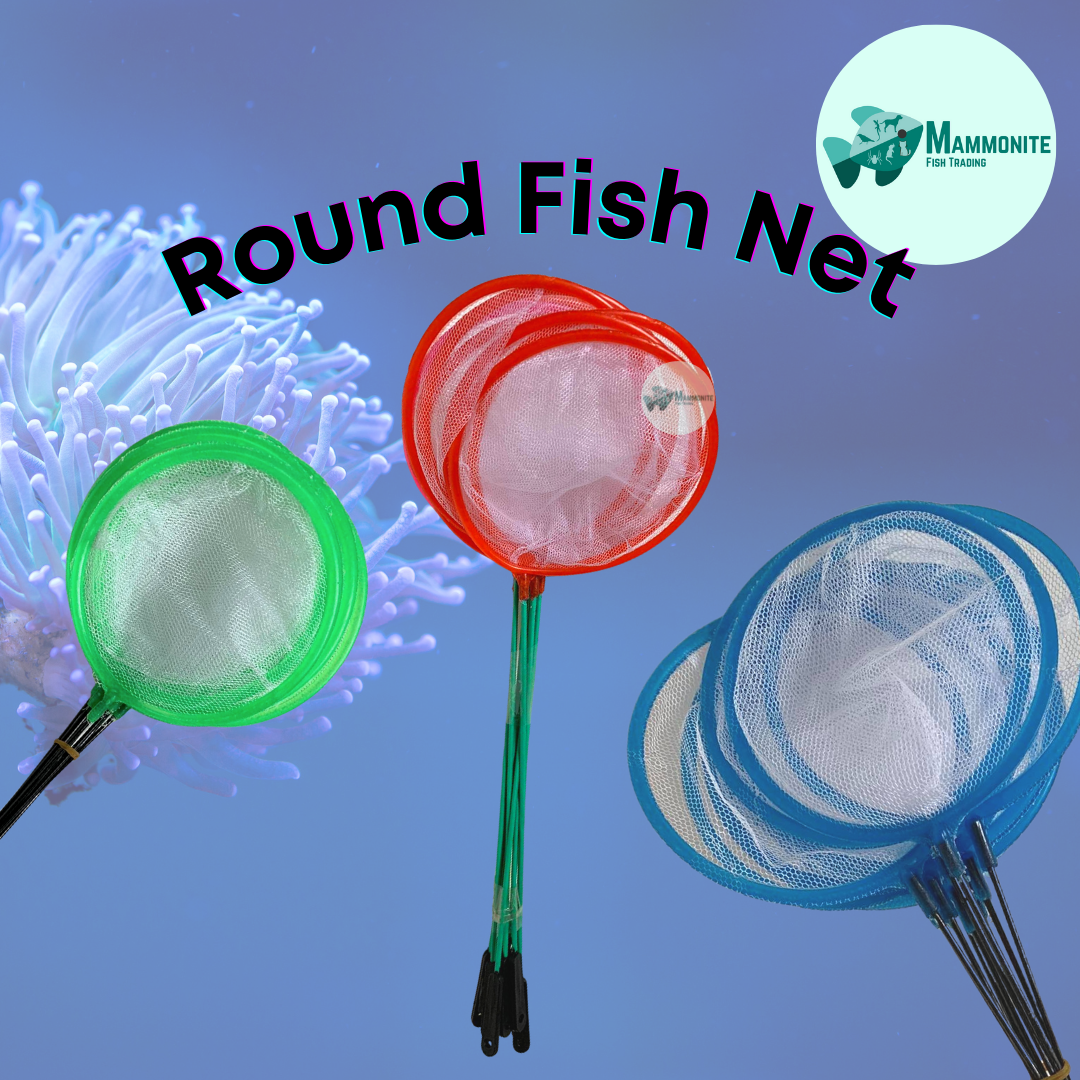 Colorful Round Fish Net For Aquarium Lazada PH