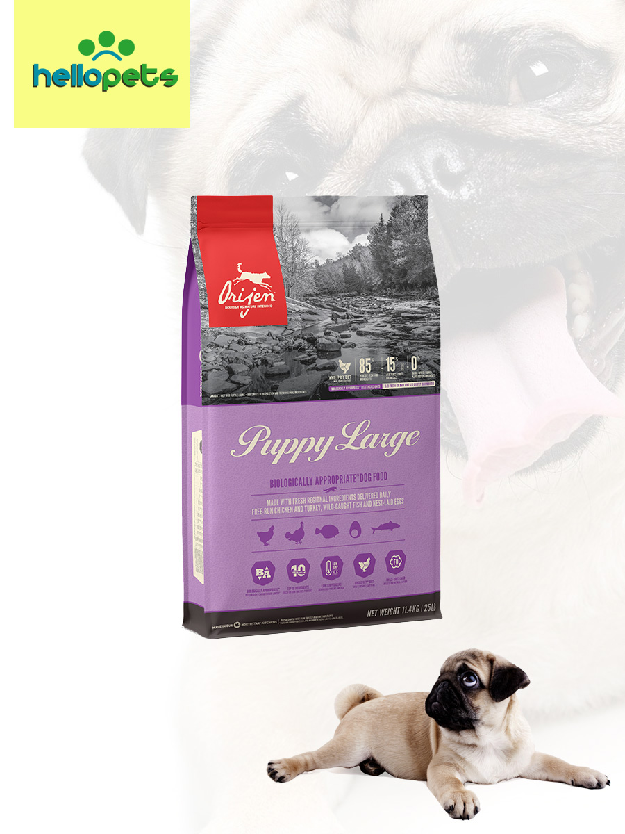 orijen puppy 11.4