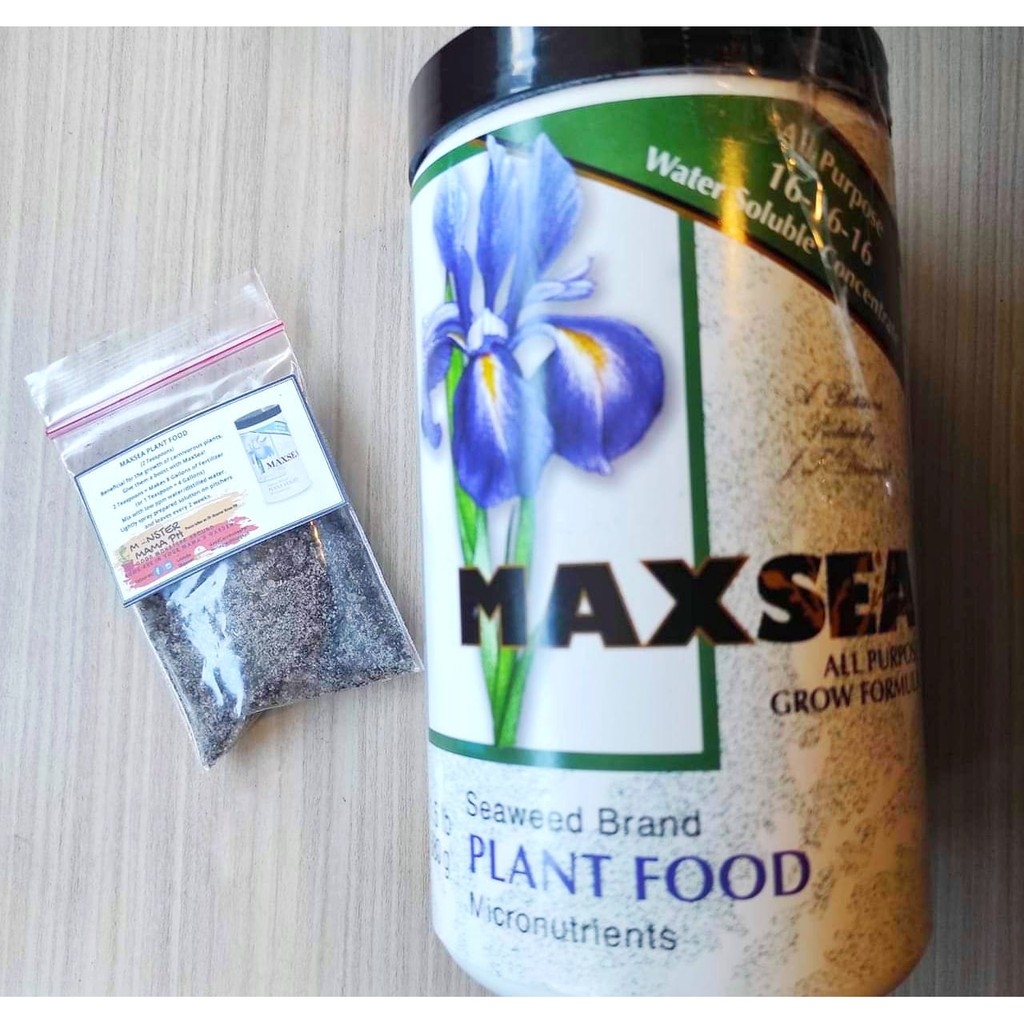 Maxsea Carnivorous Plant Food (Sachet) Lazada PH