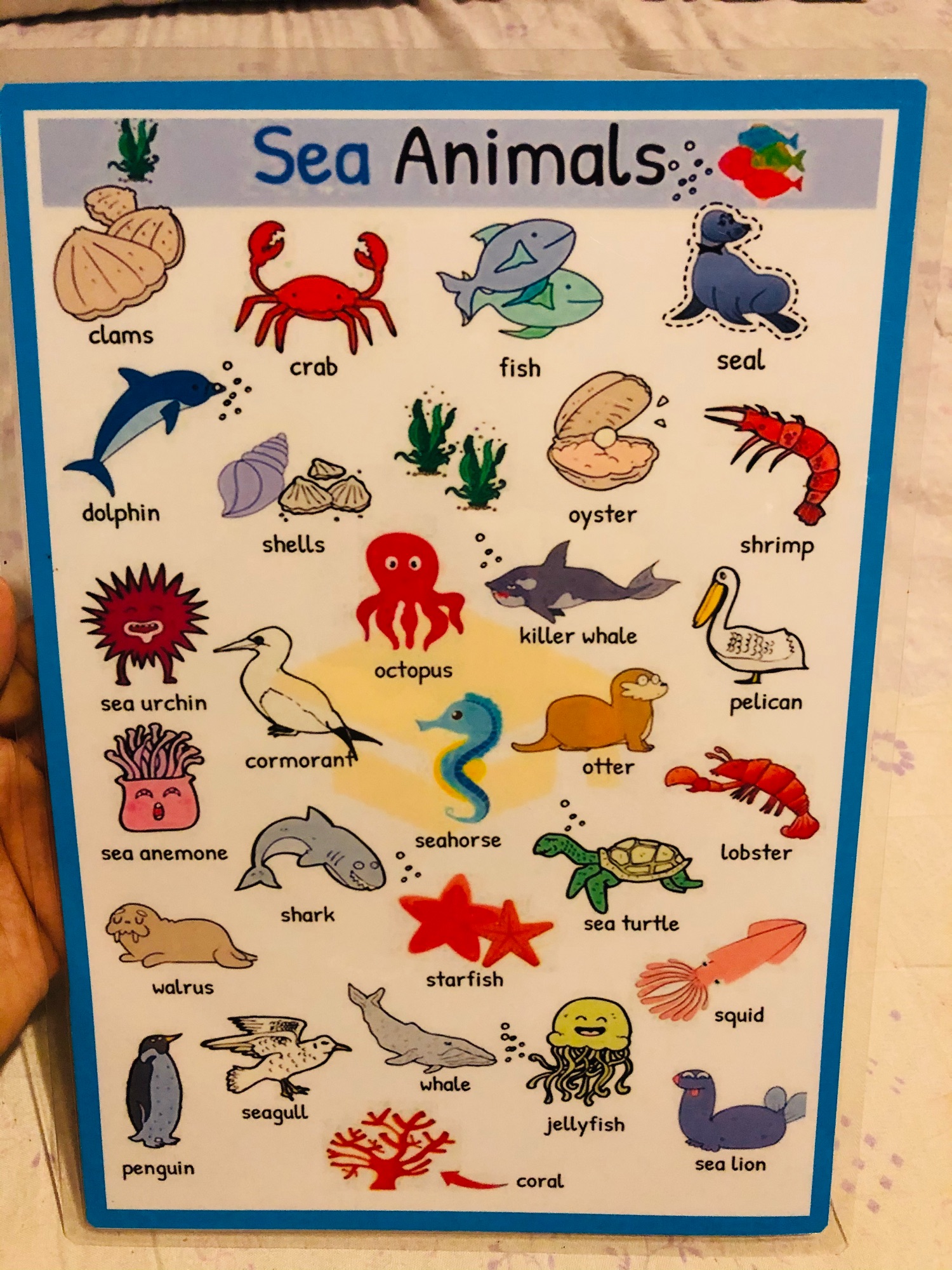 Educational charts Sea animals | Lazada PH