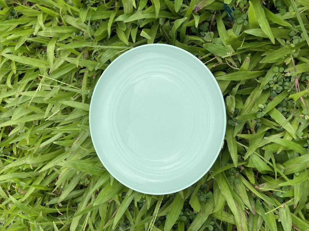 LHK 1/6/12pcs Platito (15cmx1cm) Small Wheat Straw Plates Side Dish