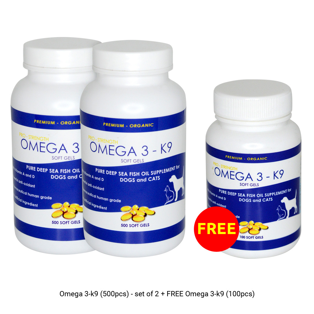 Can Dogs Take Human Fish Oil Vitamins