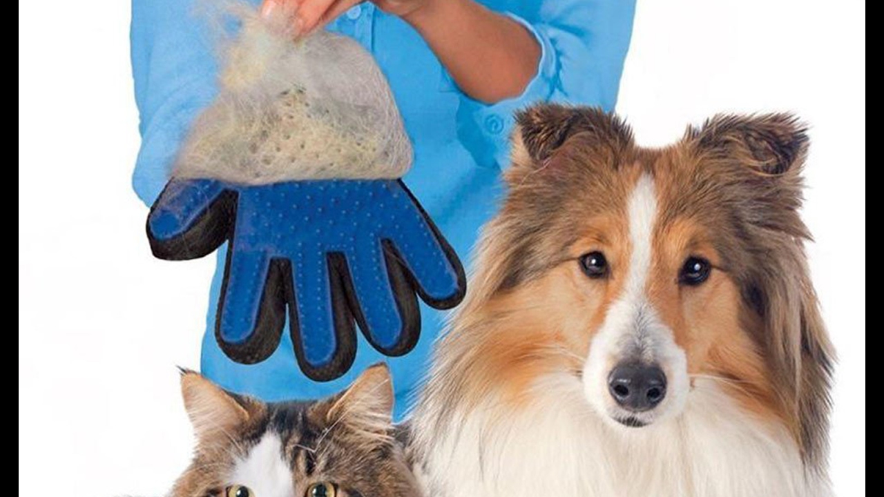 pet ninja gloves