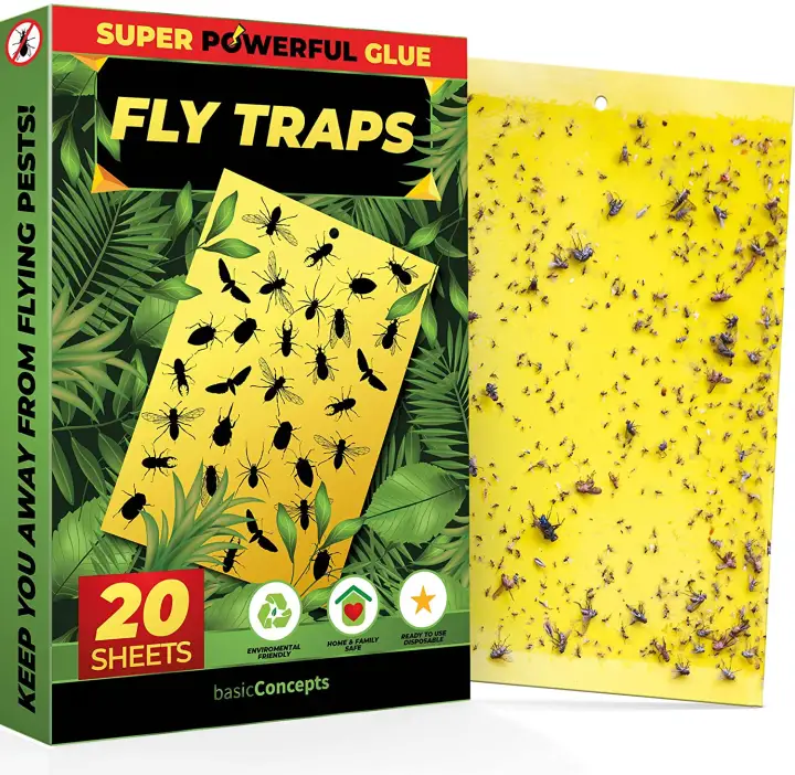 Fruit Fly Trap 20 Pack Double Sided Yellow Sticky Traps Indoor Outdoor Fruit Fly Traps For Kitchen Plants Fruit Fly Killer Sticky Gnat Trap Indoor Solution Fungus Gnat Traps