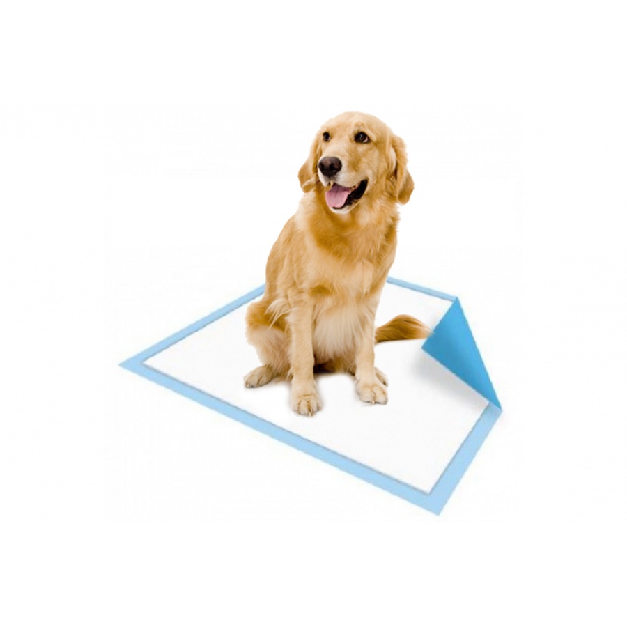 Massage toy Growl Pet Dog Pee Poop Training Pads XL 20pcs (60 x 90 cm) | Lazada PH