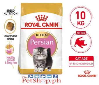 royal canin persian kitten dry food