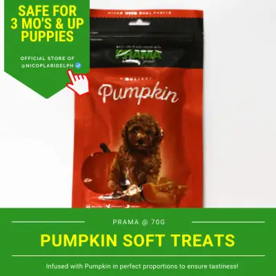 Prama Pumpkin Delicacy Snack Made with Fresh Chicken Meat for Puppies and Adult Dogs (70g)