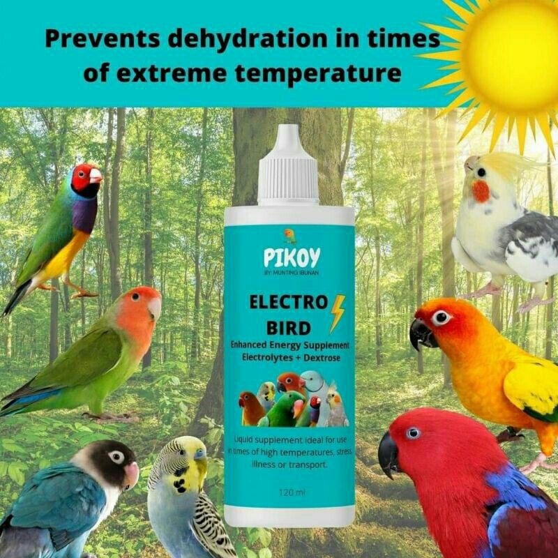 Pikoy Electro Bird Electrolyte Dextrose 120ml Lazada PH