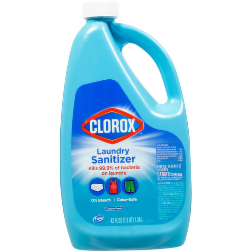 CLOROX LAUNDRY SANITIZER KILLS 99.9 OF BACTERIA ON LAUNDRY 42 oz