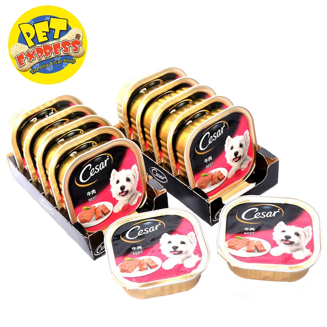 cesar dog food cheapest