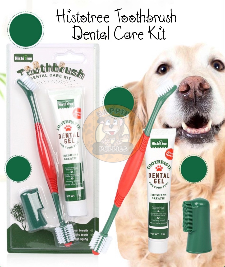 Histotree Pet 360° Toothbrush Dental Care Set | Lazada PH