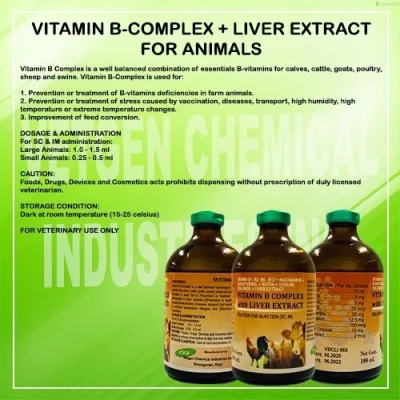 Vitamin B-Complex w/ Liver Extract 100ml *Vetgen Store Only*