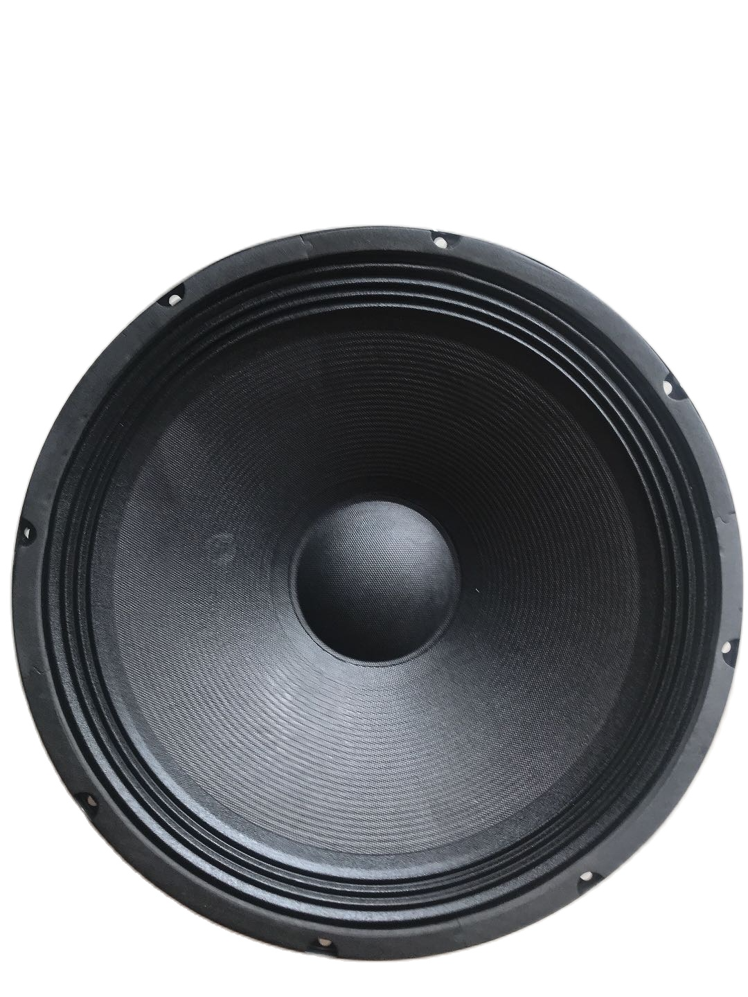 speaker philips 15 inch
